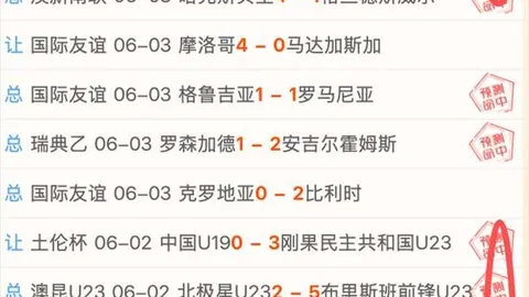 2026最新bet皇冠体育在线：前切尔西、申花前锋登巴-巴出任勒阿弗尔体育总监，全面解析